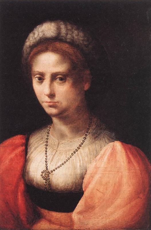 PULIGO, Domenico Portrait of a Lady agf Norge oil painting art